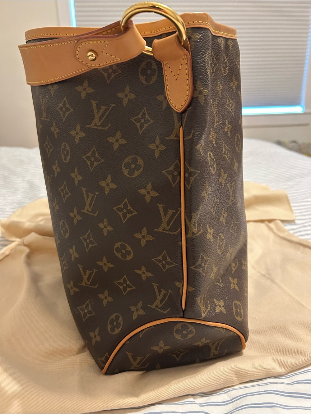 Louis Vuitton Brown Monogram Delightful MM - EUC - Picture 9 of 11